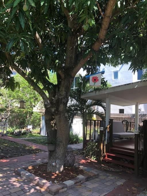 Independent Studio In Little Havana Miami Exterior foto